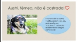 imagem-noticia