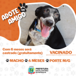 imagem-noticia