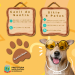 imagem-noticia
