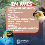 imagem-noticia